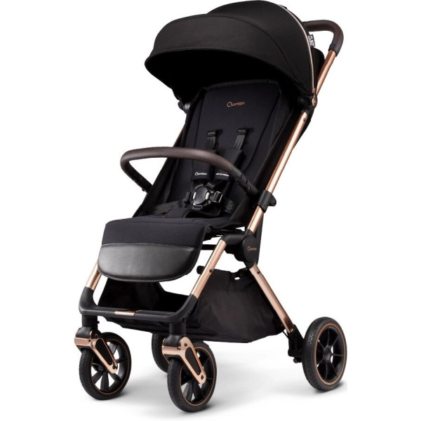quinton_roxy_stroller_-_1_271508283